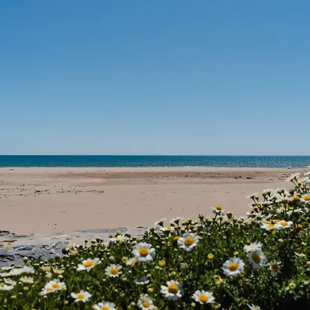 Apartmán Renove En Front De Avec Parking A Narbonne-plage - Fr-1-409-229 Narbonne